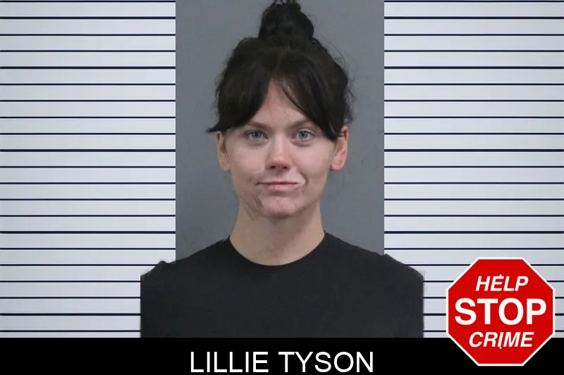 Lillie Tyson Mugshots