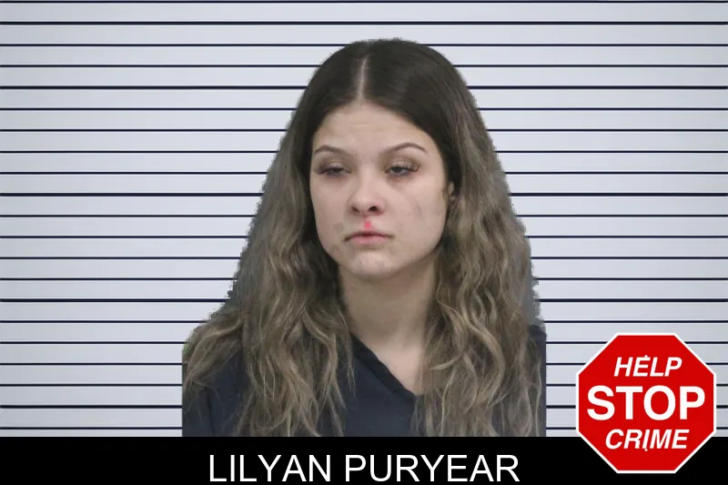 Lilyan Puryear of Catoosa County, Georgia Lilyan Puryear Mugshots