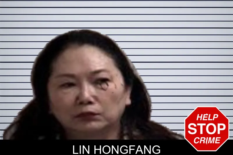 Lin Hongfang mugshot