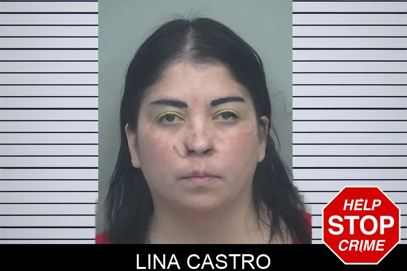 Lina Castro mugshot