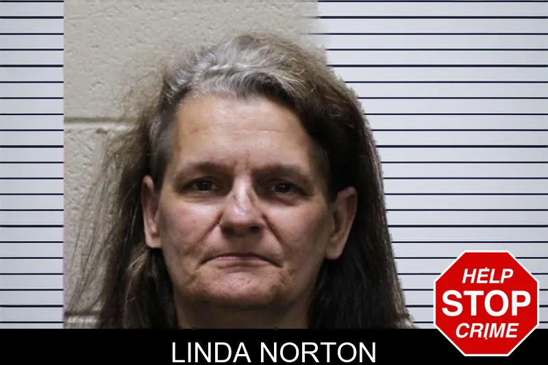 Linda Norton Mugshots