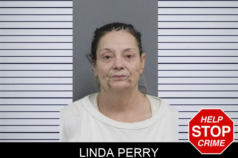 Linda Perry mugshot