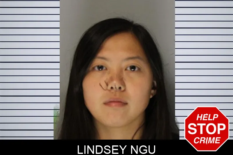 Lindsey Ngu Mugshots