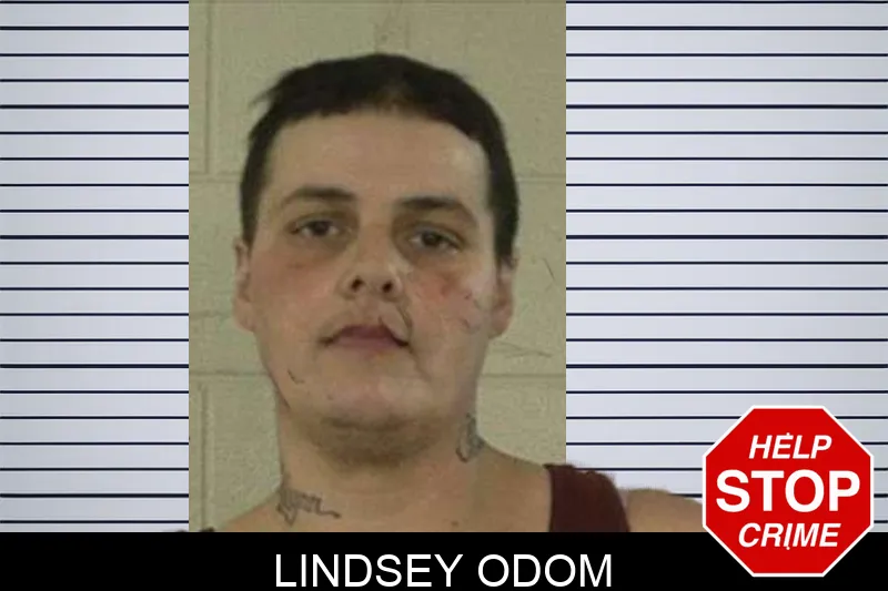 Lindsey Odom Mugshots