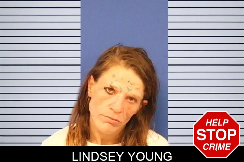 Lindsey Young Mugshots