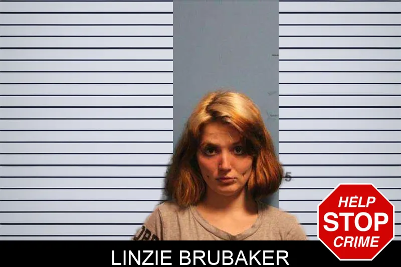 Linzie Brubaker Mugshots