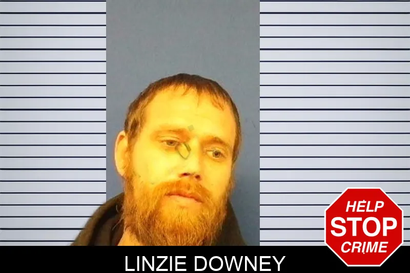 Linzie Downey mugshot