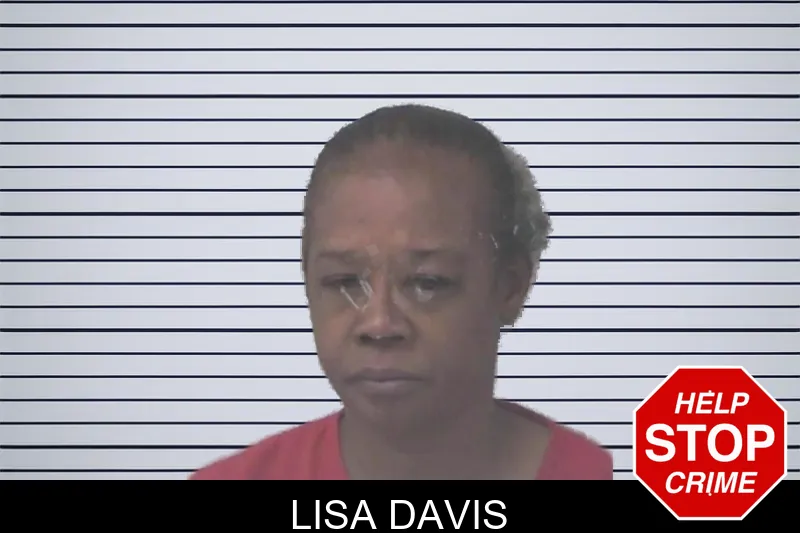 Lisa Davis mugshot
