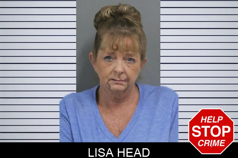 Lisa Head mugshot – Catoosa County , Georgia Lisa Head mugshot