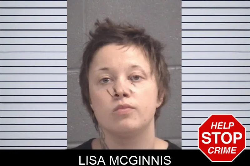 Lisa McGinnis Mugshots