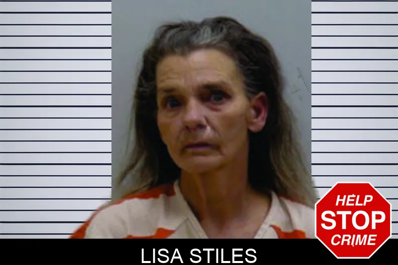 Lisa Stiles mugshot
