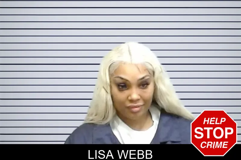 Lisa Webb Mugshots