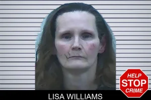 Lisa Williams mugshot