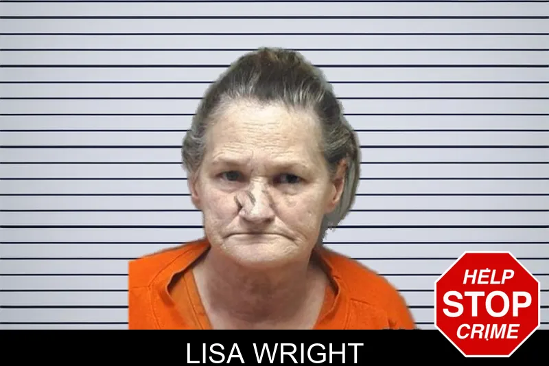 Lisa Wright mugshot – Cherokee County , Georgia Lisa Wright mugshot