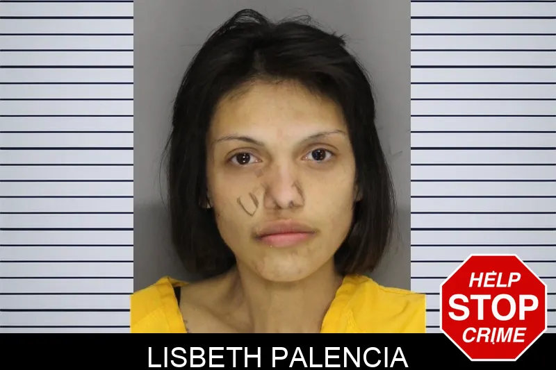 Lisbeth Palencia Mugshots