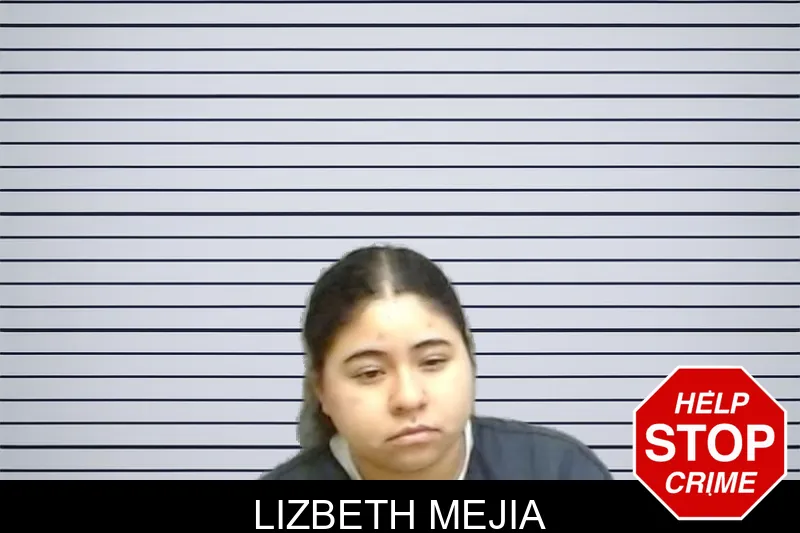 Lizbeth Mejia mugshot – Fulton County , Georgia Lizbeth Mejia mugshot
