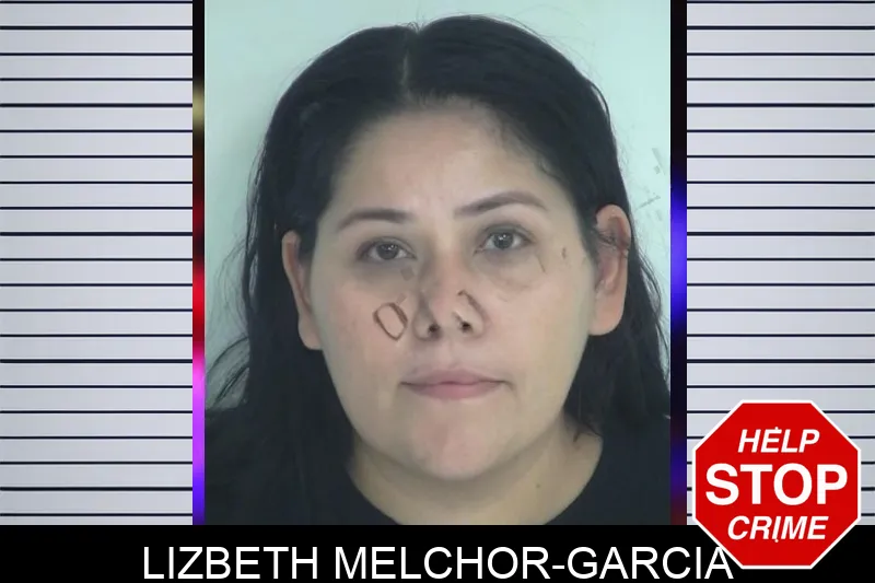 Lizbeth Melchor-Garcia mugshot – Fayette County , Georgia Lizbeth Melchor-Garcia mugshot