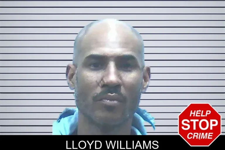 Lloyd Williams