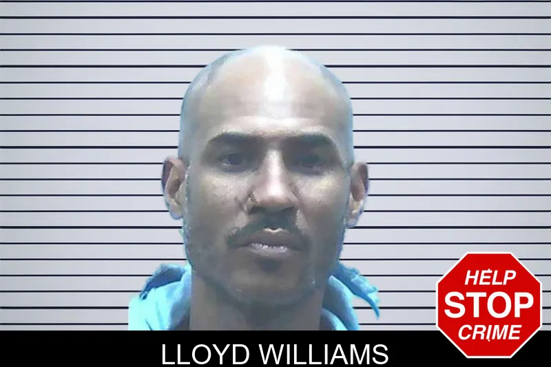 Lloyd Williams Mugshots