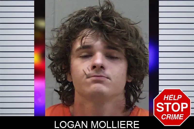 Logan Molliere Mugshots