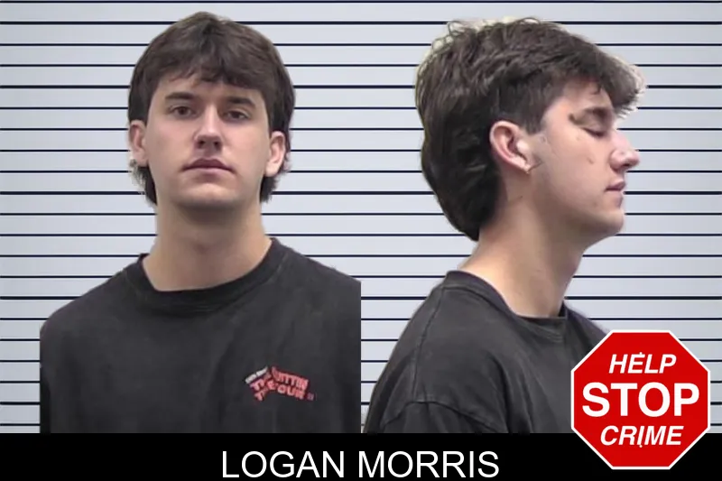 Logan Morris Mugshots