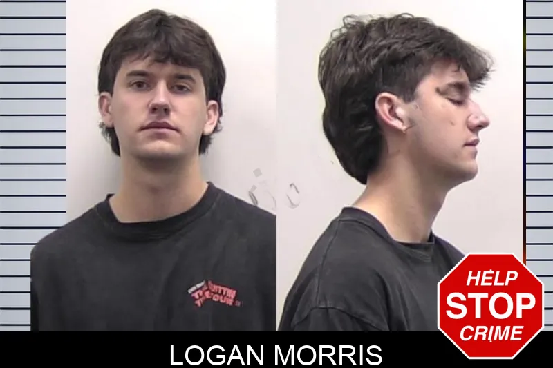 Logan Morris Mugshots