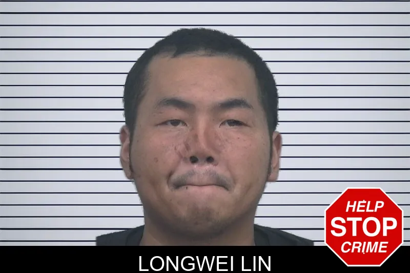 Longwei Lin Mugshots