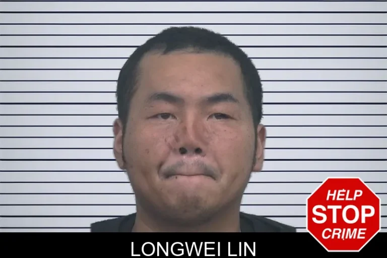 Longwei Lin