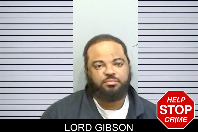 Lord Gibson mugshot