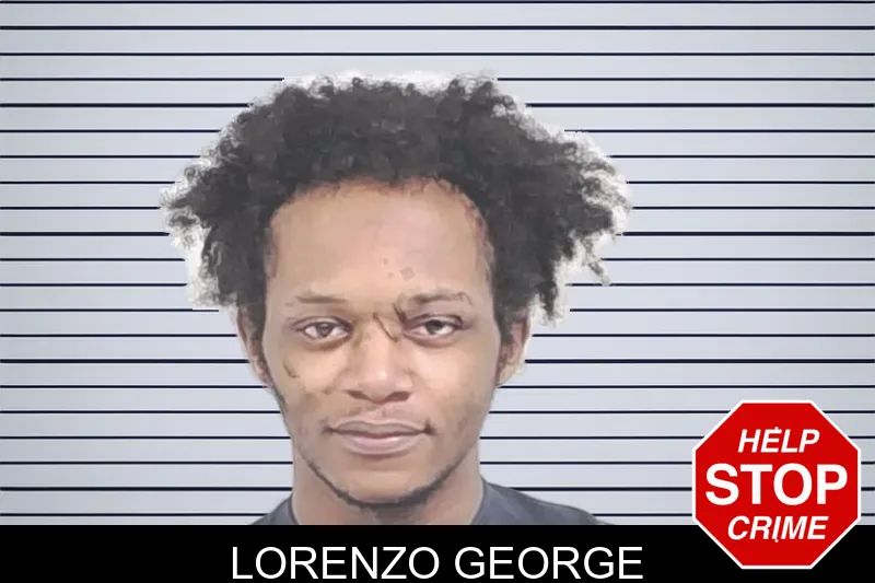 Lorenzo George mugshot – Lowndes County , Georgia Lorenzo George mugshot