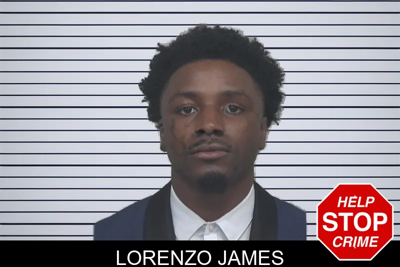 Lorenzo James mugshot – Gwinnett County , Georgia Lorenzo James mugshot