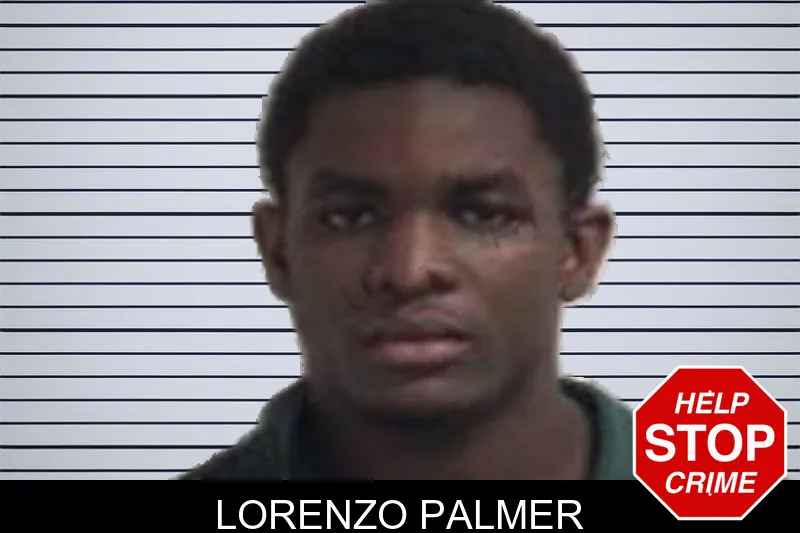 Lorenzo Palmer Mugshots