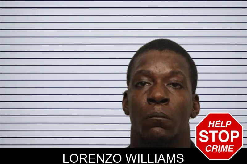 Lorenzo Williams mugshot – Chatham County , Georgia Lorenzo Williams mugshot