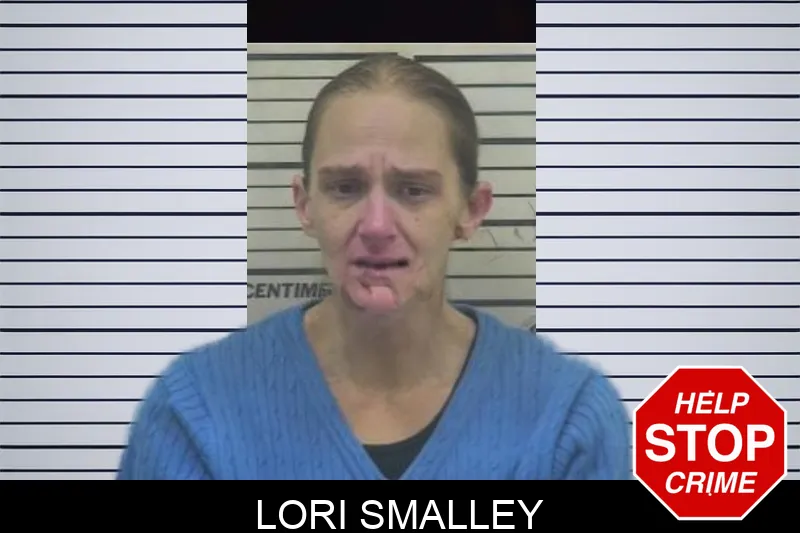 Lori Smalley Mugshots
