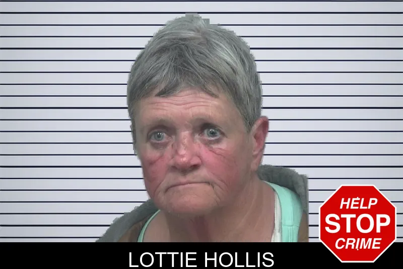 Lottie Hollis mugshot
