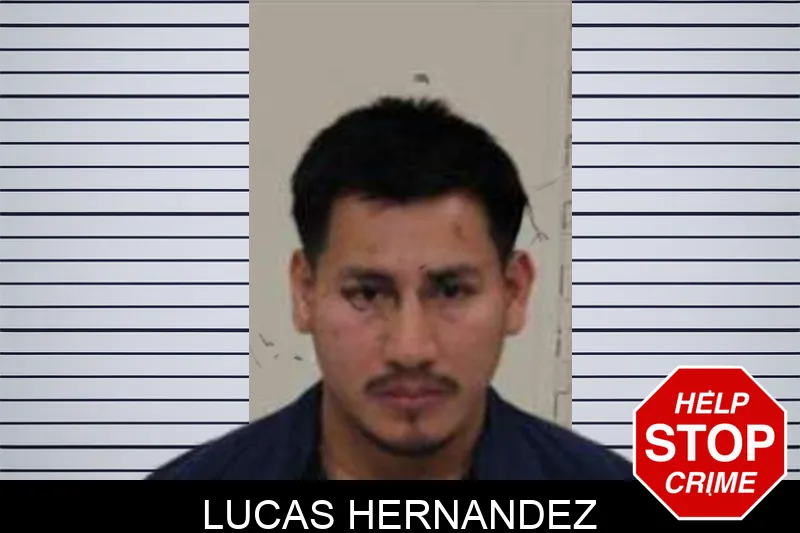 Lucas Hernandez Mugshots