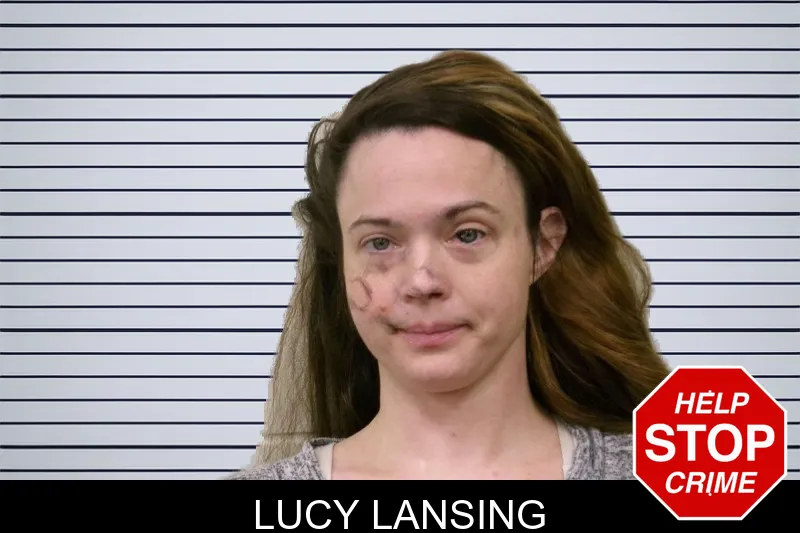 Lucy Lansing mugshot