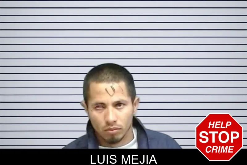 Luis Mejia Mugshots