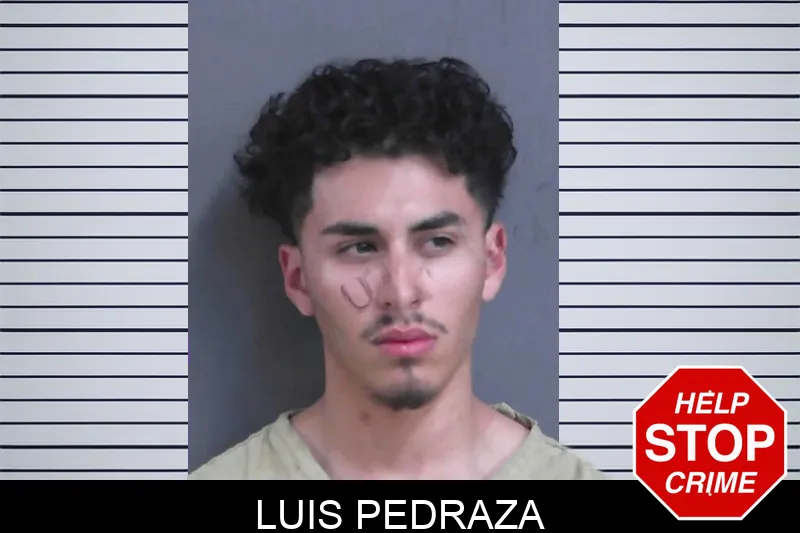 Luis Pedraza Mugshots