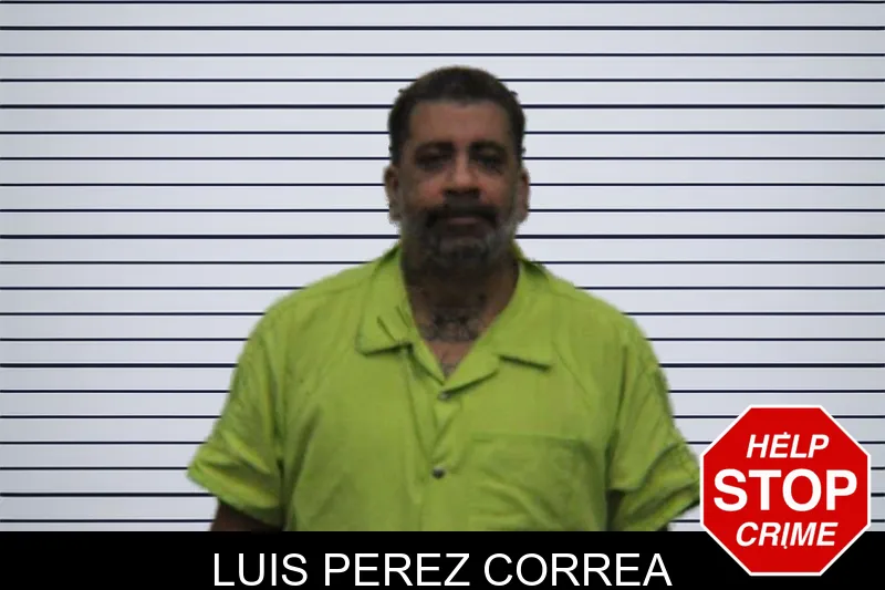Luis Perez Correa Mugshots