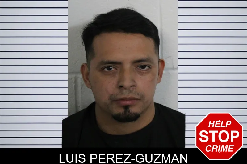 Luis Perez-Guzman Mugshots
