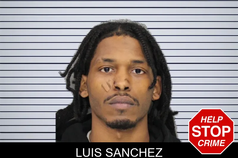 Luis Sanchez mugshot