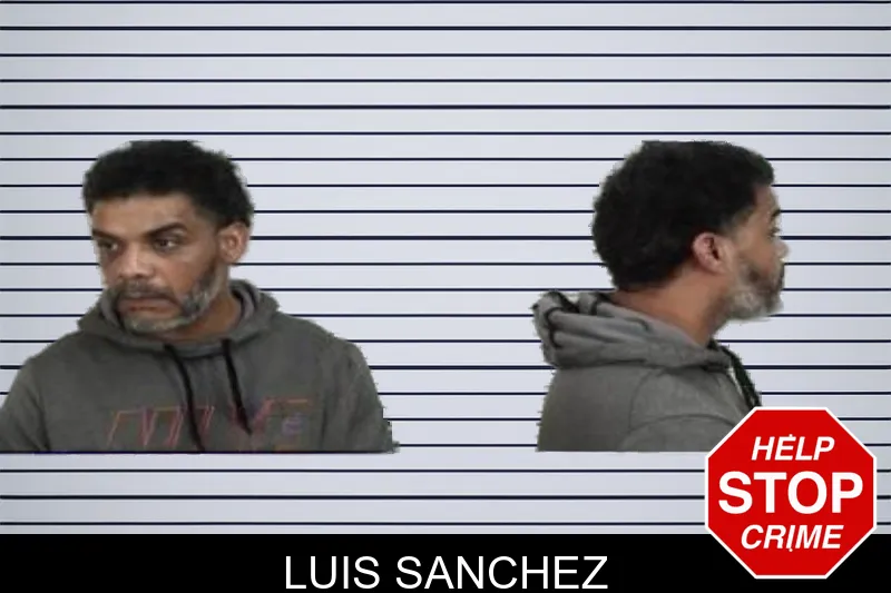 Luis Sanchez mugshot