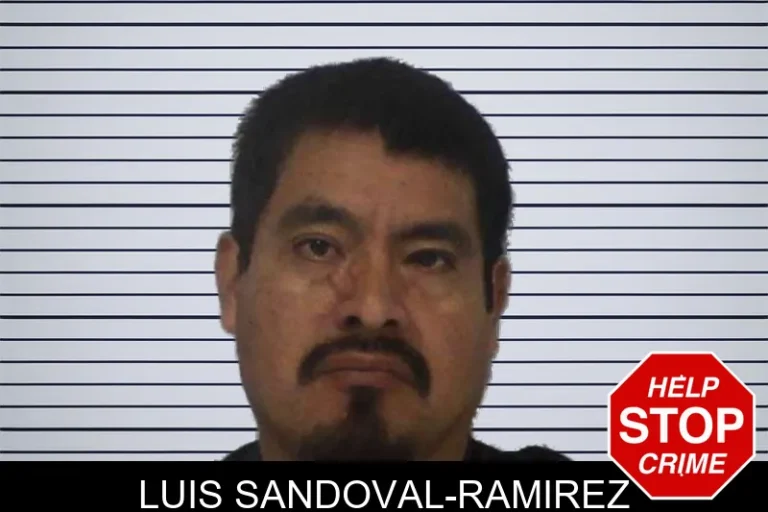 Luis Sandoval-Ramirez