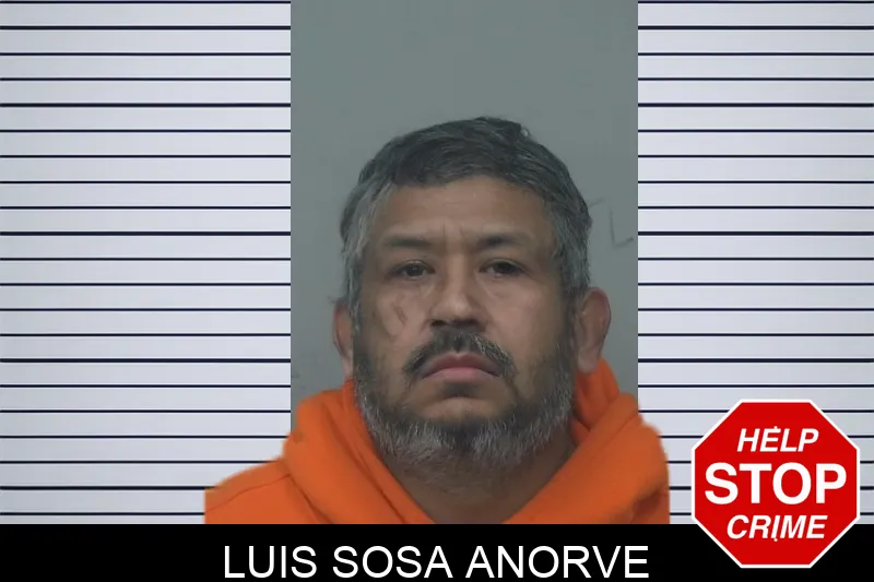 Luis Sosa Anorve mugshot