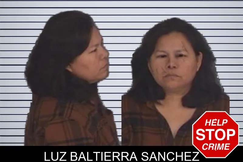 Luz Baltierra Sanchez Mugshots