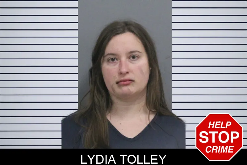 Lydia Tolley mugshot – Catoosa County , Georgia Lydia Tolley mugshot