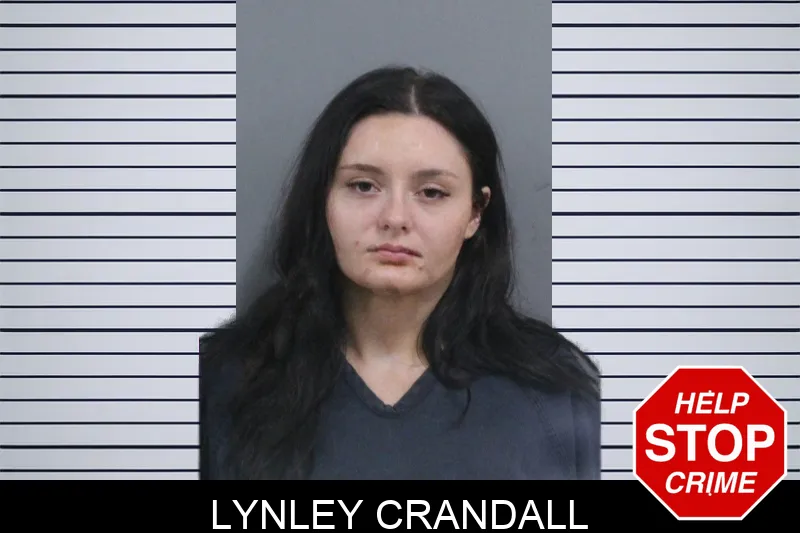 Lynley Crandall mugshot – Catoosa County , Georgia Lynley Crandall mugshot