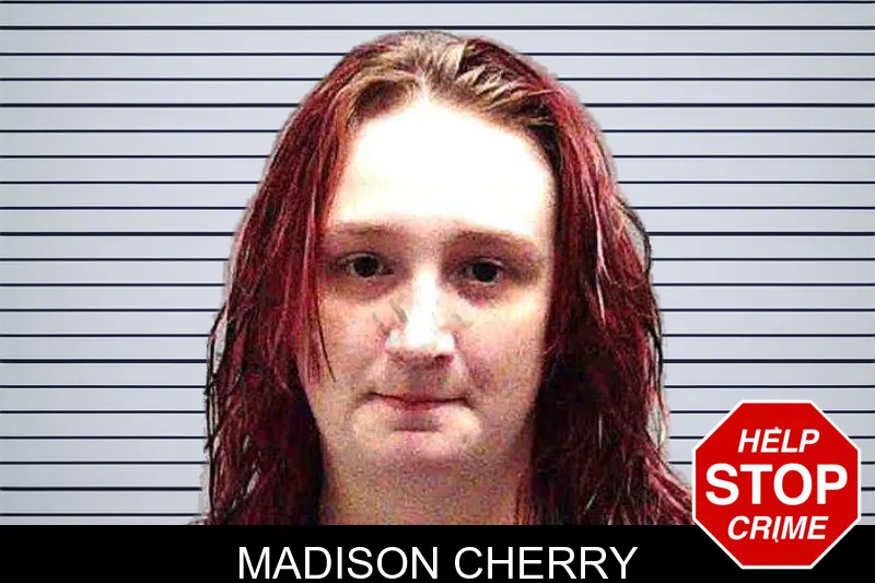 Madison Cherry mugshot