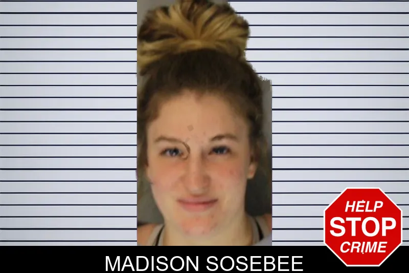 Madison Sosebee mugshot
